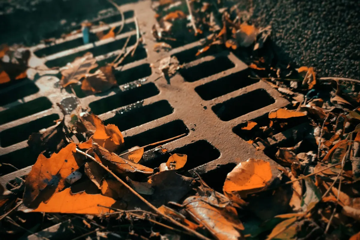 Leaves over an outside drain